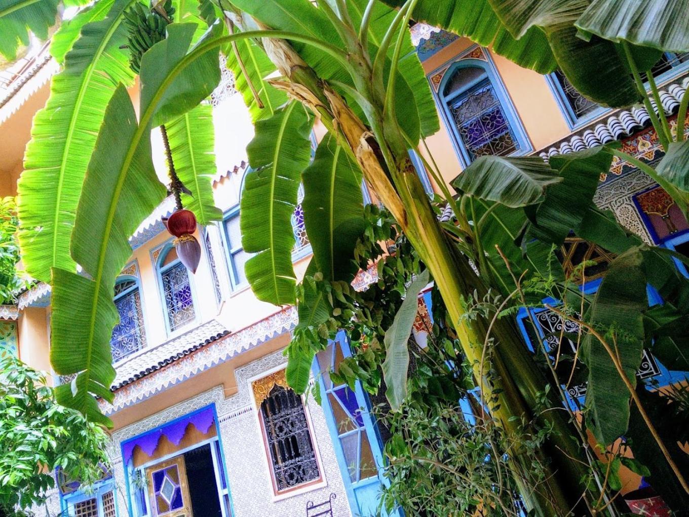 Riad Carole - Perfect For Families & Groups Marakeş Dış mekan fotoğraf