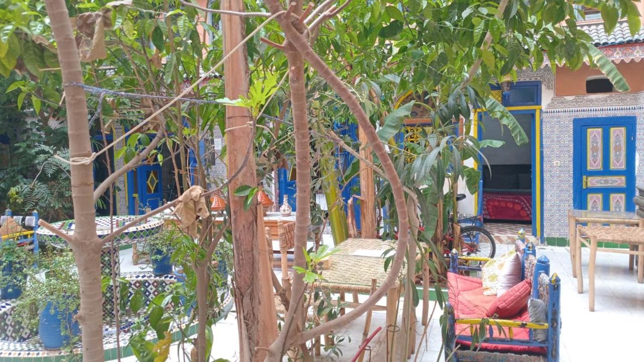 Riad Carole - Perfect For Families & Groups Marakeş Dış mekan fotoğraf