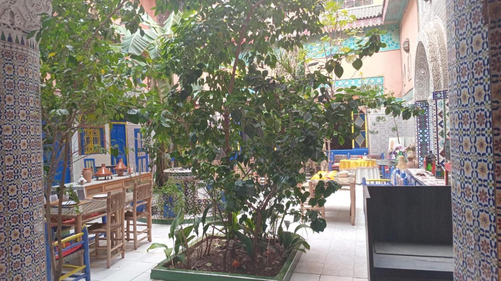 Riad Carole - Perfect For Families & Groups Marakeş Dış mekan fotoğraf